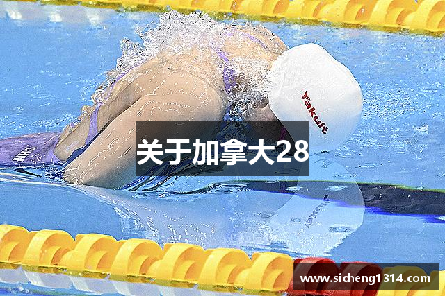 关于加拿大28